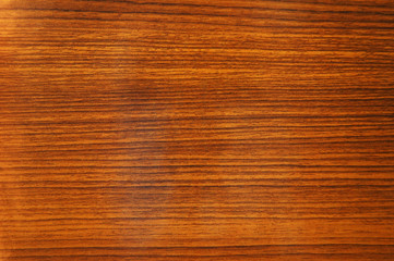 Texture of wooden surface  - can be used as background