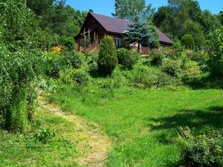 Fototapeta na wymiar dom na wzgórzu w ogrodzie