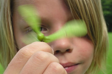 enfant nature