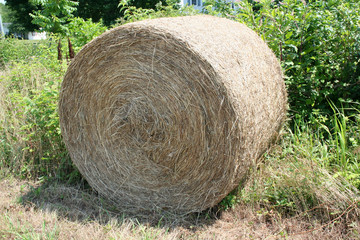 Hay Roll