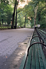 Central Park Benches