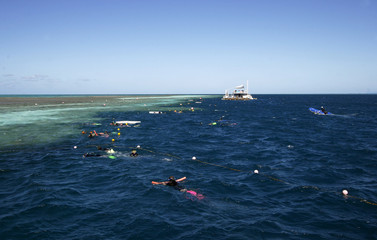 snorkeling at the great barrier reef
