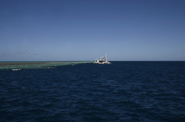 snorkeling at the great barrier reef