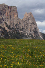 Dolomite Mountains and wildflowers