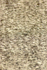 Carpet Textures 1