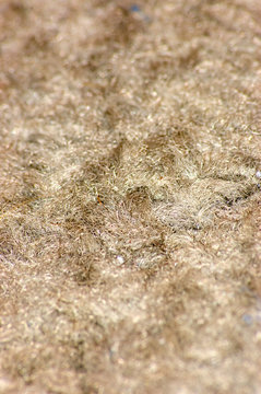 Carpet Textures 1