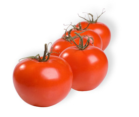 A line of red tomatoes on a white background