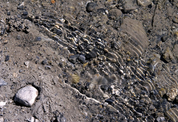 Ripples of clear river water