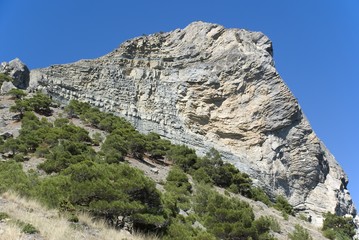 Mountain. An acting rock with vegetation in the foreground