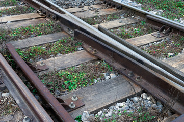 Image shows neglected railway tracks