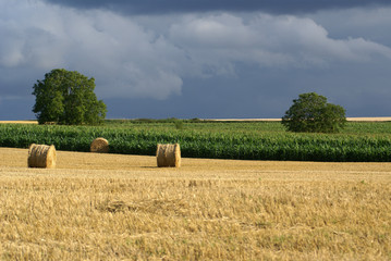 ciel gris
