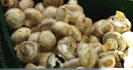 white mushrooms