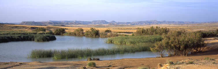 Oasis in the middle of the desert of Bardenas Reales