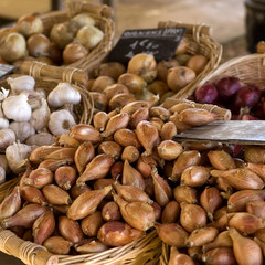 Onions on a market in the south of France