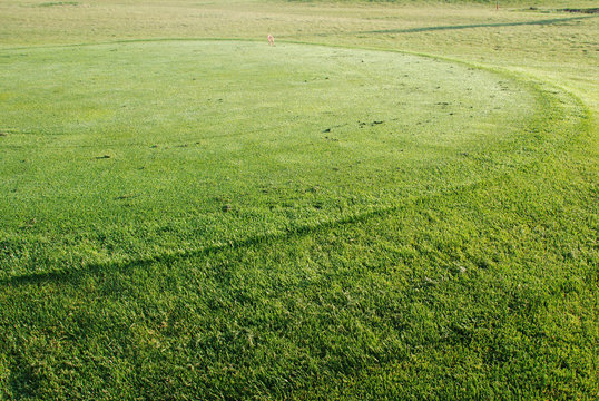 Golf - detail of green