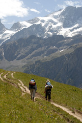 Fototapeta premium Marche dans les Alpes