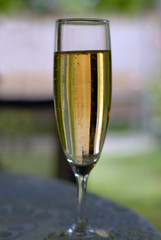 flute de champagne