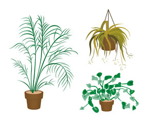 Decorating Plants Icons with Clipping Paths