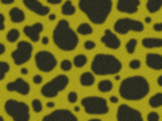 illustration of the gepard fur © yuri4u80