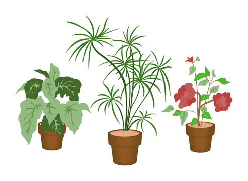 green plants in pots on white background clip art preview