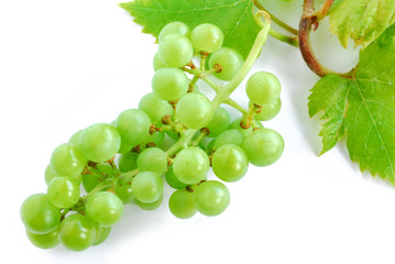 green grapes on white background