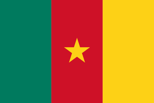 cameroun flag