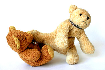 teddy-bear 1