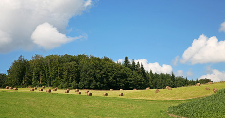 bottes de foin dans un champ © Pierre-Alain Dutheil