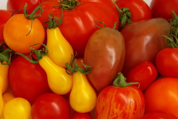 Tomate 09