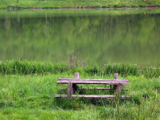 bench