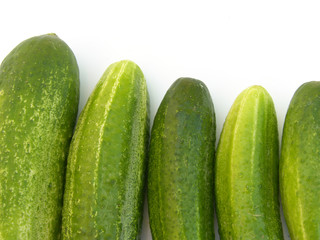 cucumber