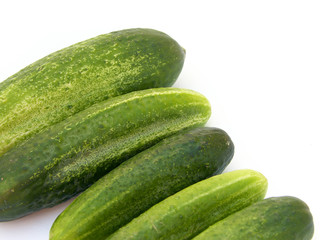cucumber