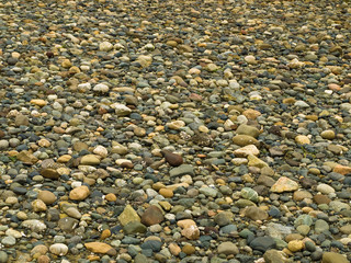 background of beach pebble, stones scattered on ocean shore