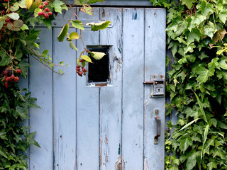 Old door with window