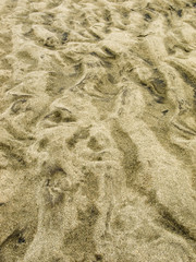 Texture of a sand surface with wave pattern