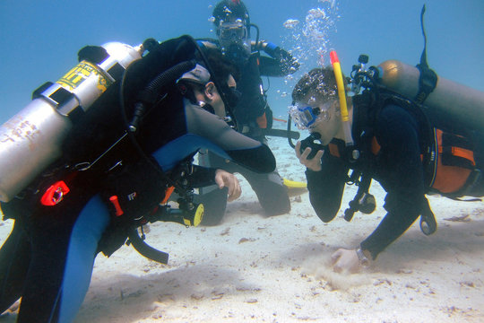 Diver's exam
