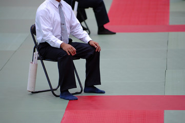 Karate referee