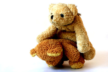 teddy-bear 10