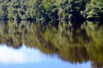 Water and sky
