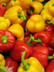 Poivrons jaunes et rouges