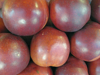 nectarine