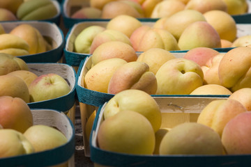 Fruits sur le marché, barquette d'abricots