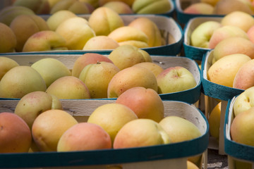 Fruits sur le marché, barquette d'abricots
