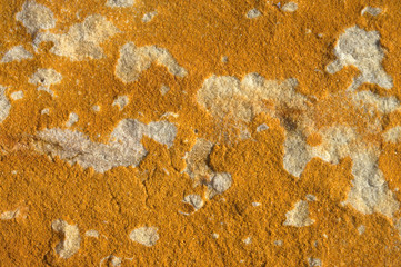 The beautiful figures made by the nature.