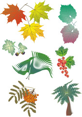 Naklejka na ściany i meble illustration with collection of different foliage