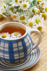 Obraz na płótnie Canvas Cup of herbal tea - chamomile and flowers