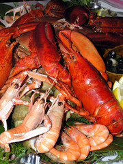Plateau de fruit de mer, homards, langoustines et crevettes