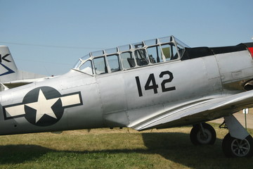 Profile of a warbird