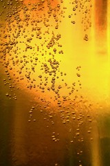 Beer bubbles