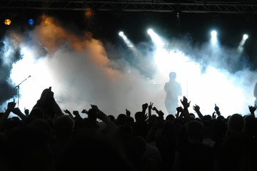 Cheering crowd at concert, musicians on the stage